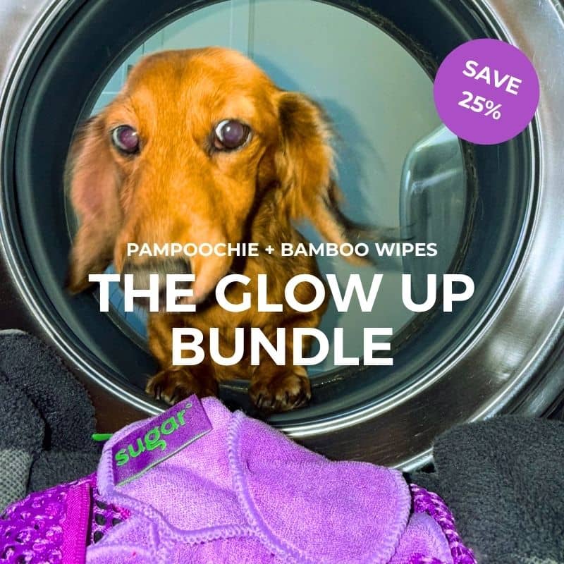 Campaign shot of a dachshund peeking into a washing machine with Sugar reusable bamboo wipes from the Glow Up Pampoochie bundle