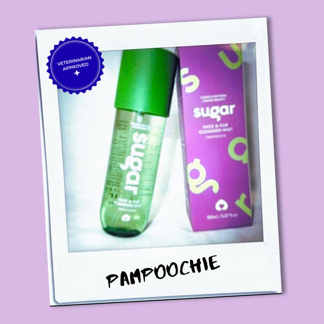 Vet approved Pampoochie Face & Fur Cleanser Mist shown in a polaroid-style campaign photo