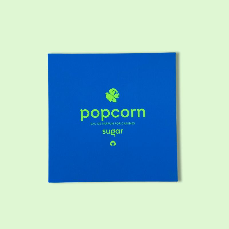 Blue square Popcorn dog perfume box by Sugar on a light green background