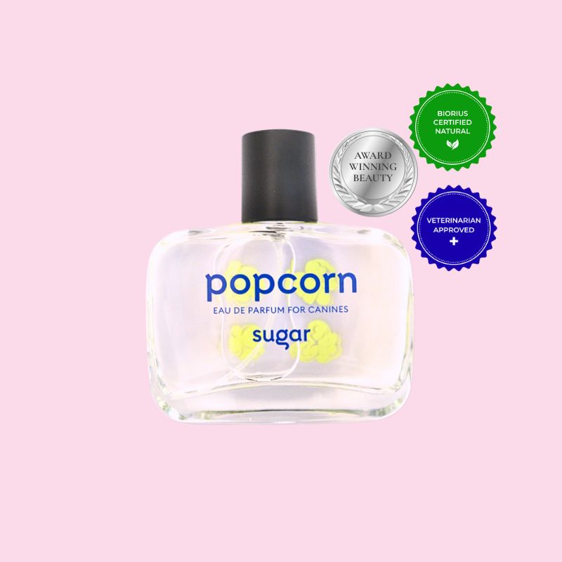 Is Dog Perfume Safe? (Here’s the Sweet Truth)
