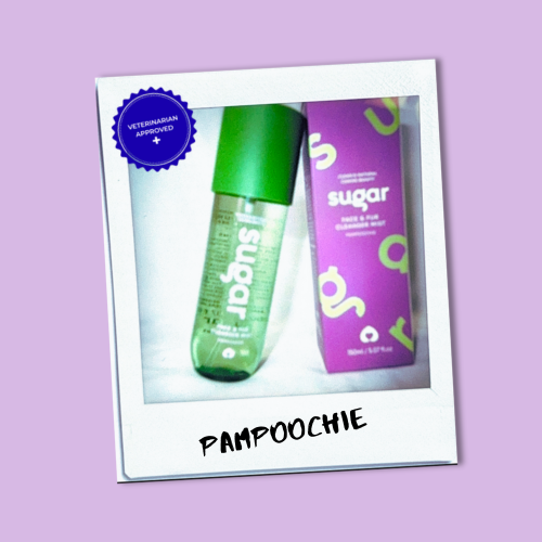Vet approved polaroid picture of Sugar's  Dog Face and Fur Cleanser, Pampoochie 