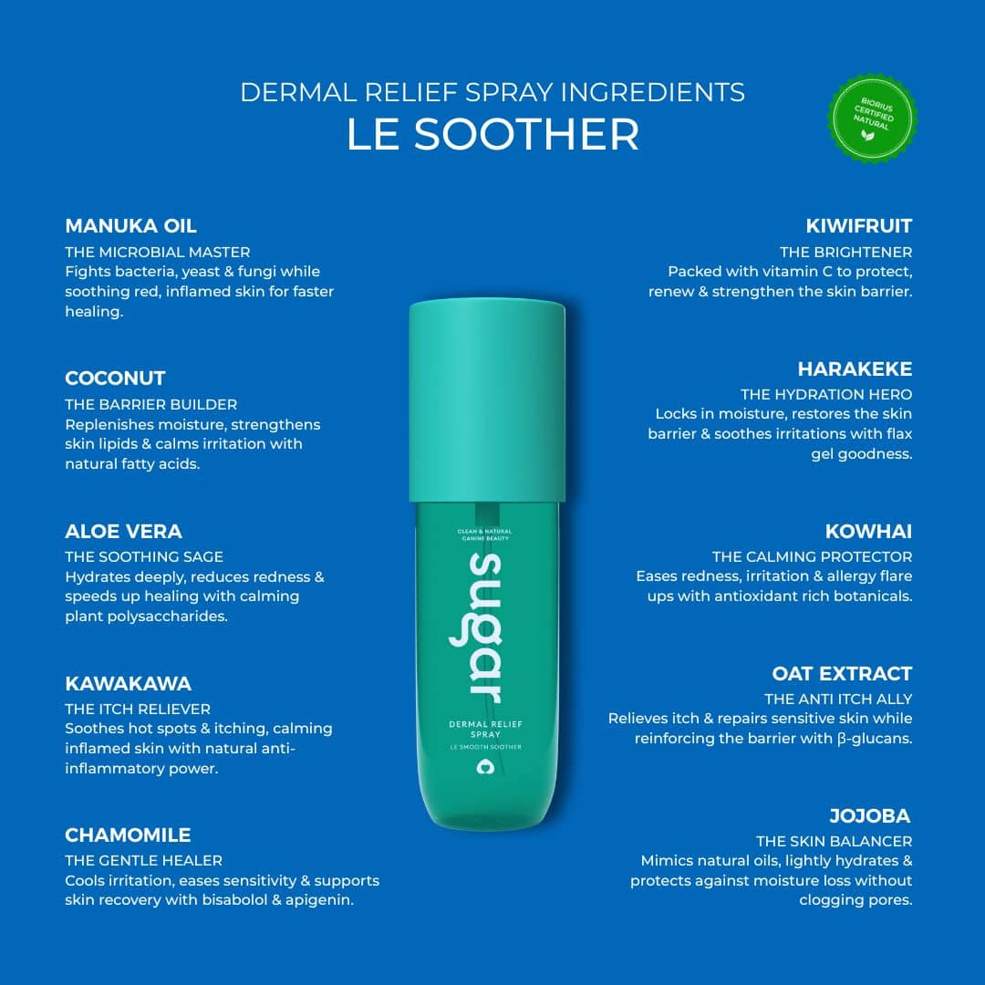 Le Soother Dermal Relief Spray with natural active ingredients and benefits displayed beside the bottle