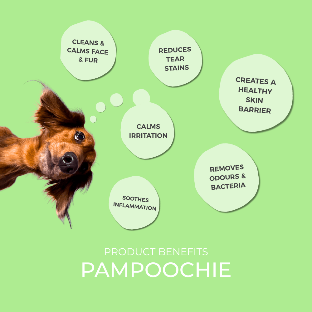 Pampoochie natural ingredient benefits display by Sugar canine beauty