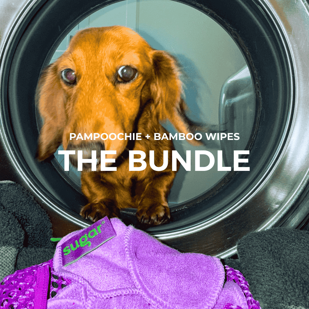 Dachshund washing reusable dog face & fur cleansing wipes in mesh wash bag from Sugar Glow-Up Bundle.