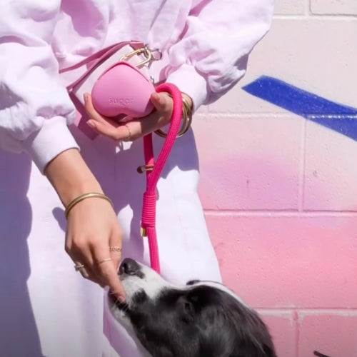 Sugar Snaccessory silicone dog treat pouches