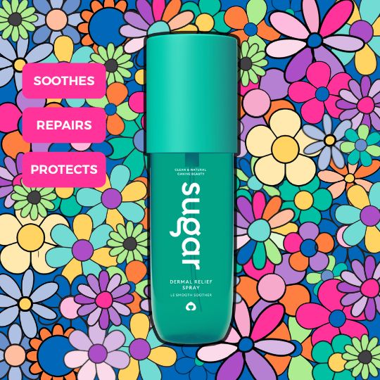 Certified natural dermal relief spray for dogs shown in promotional campaign image
